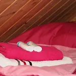 Triftberg Dağ evi *