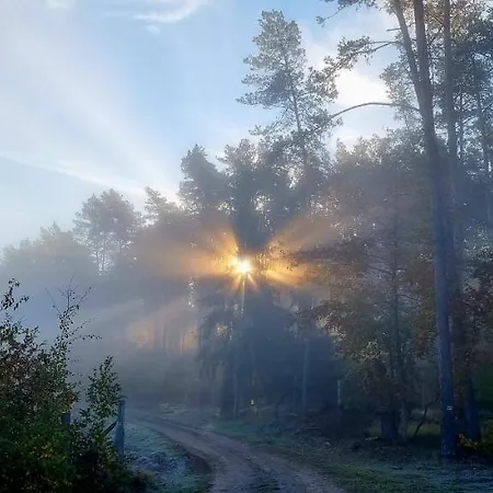 Triftberg 샬레 Chojna