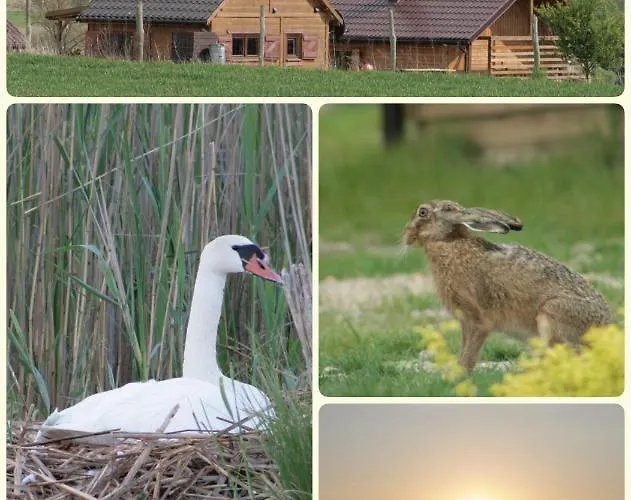 Chalet Triftberg Chojna